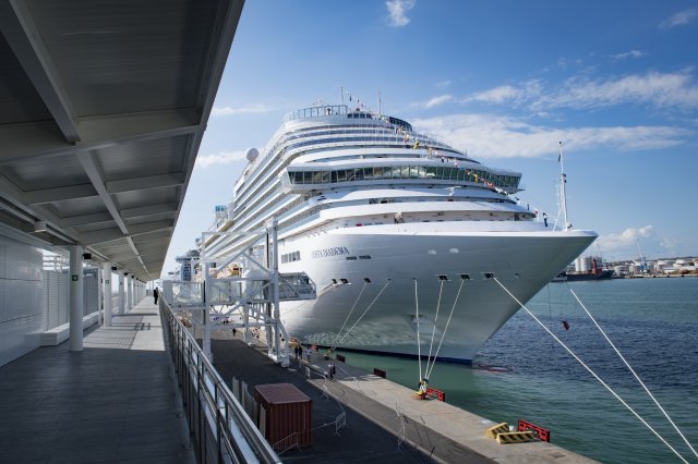 costa diadema